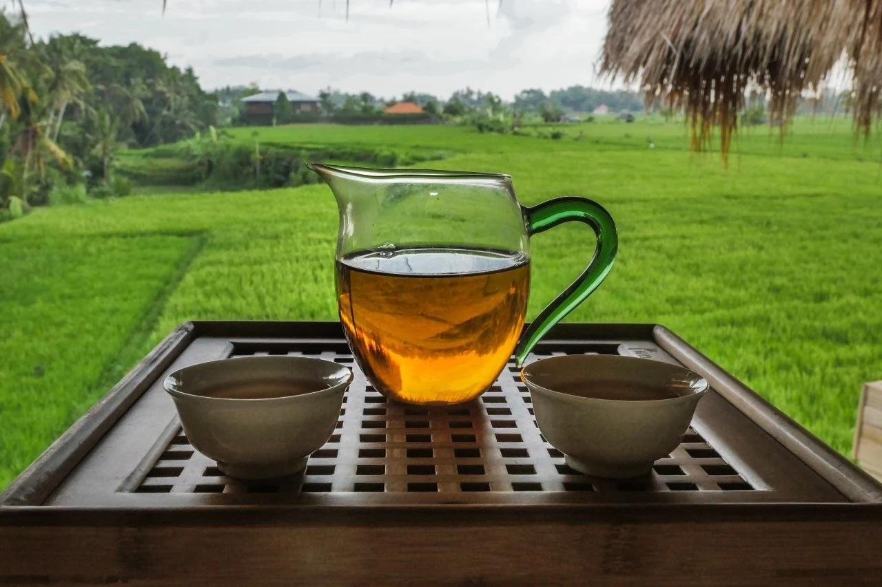 茶盘上摆着盛有琥珀色茶汤的玻璃壶和两只茶杯,背景是绿色稻田