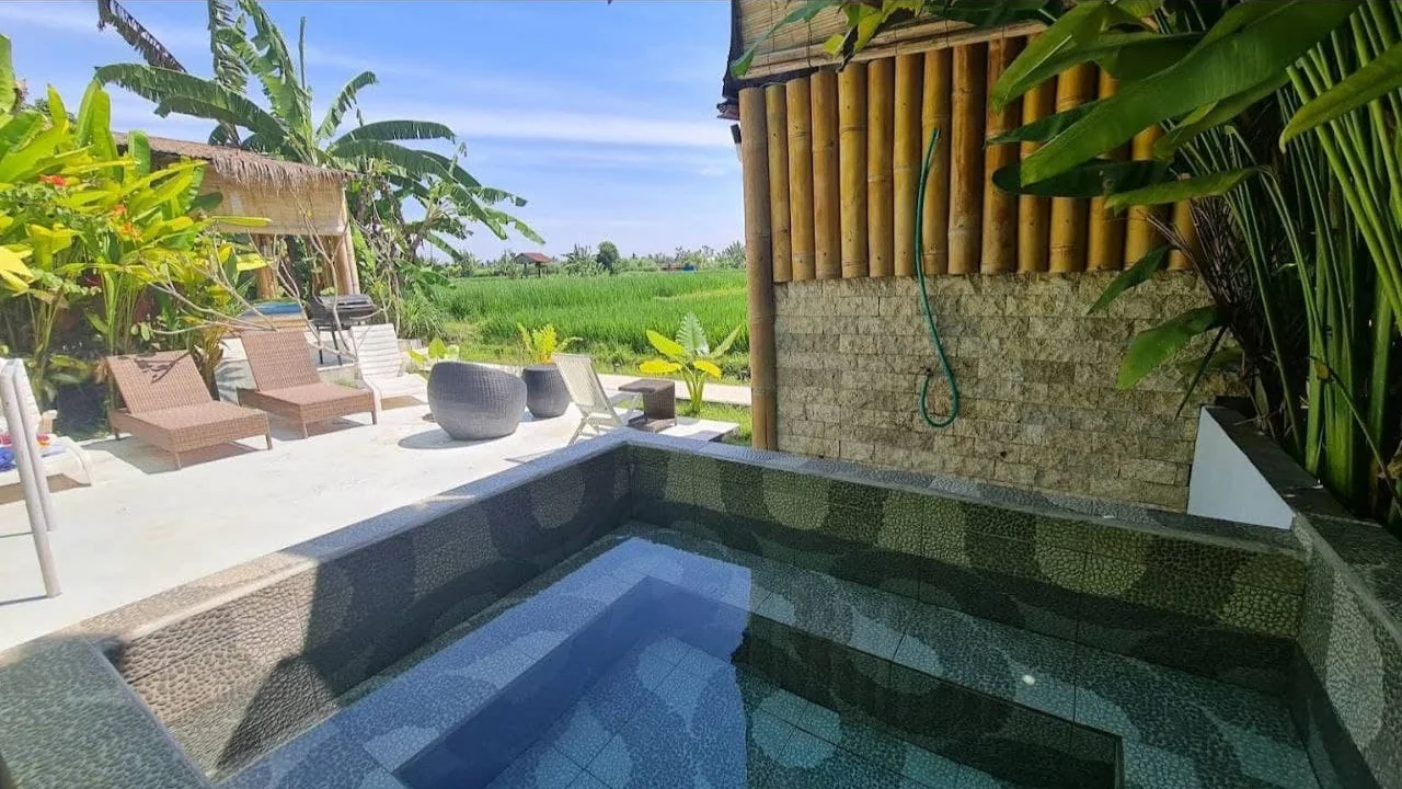 Arte and Bamboo Tea Villas 园内泳池